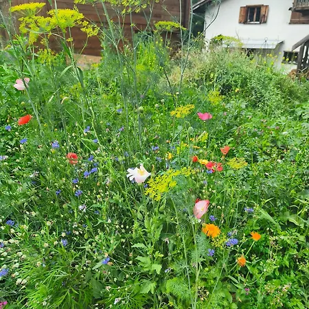 Apartment Le Monastere Nendaz