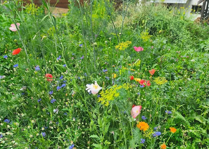 Apartamento Le Monastere Nendaz