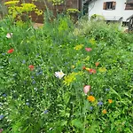 Apartman Le Monastere Nendaz